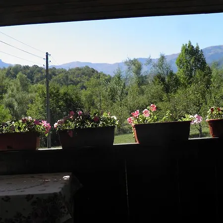 Casa de hóspedes Klisarova House *